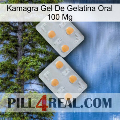 Kamagra Oral Jelly Gel 100 Mg 25